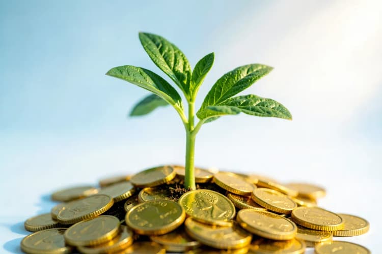 Uma planta crescendo em uma pilha de moedas de ouro.