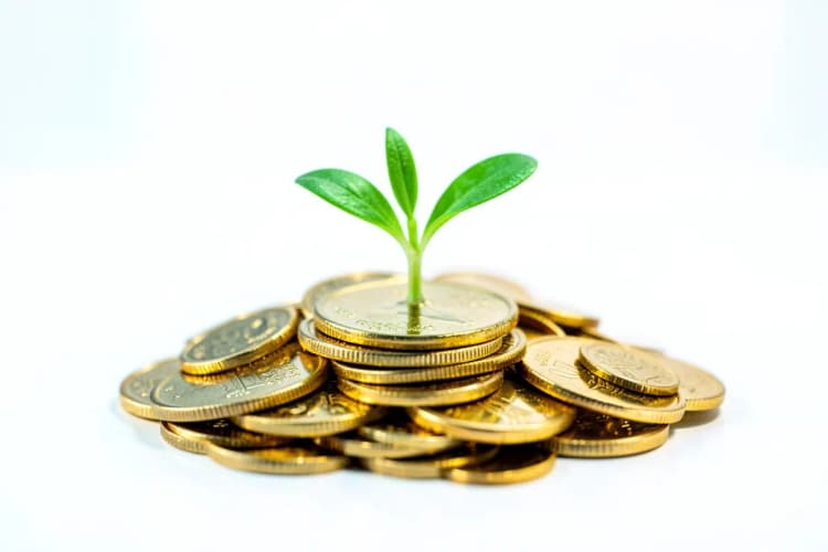 Uma planta crescendo em um monte de moedas de ouro.