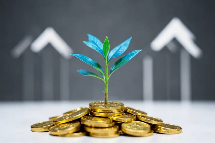 Planta crescendo a partir de um monte de moedas de ouro, com setas apontando para cima.