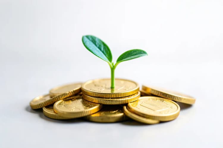 Uma planta verde crescendo de um monte de moedas de ouro.