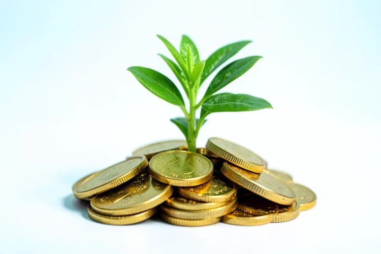 Uma planta crescendo em uma pilha de moedas de ouro, em um fundo escuro.