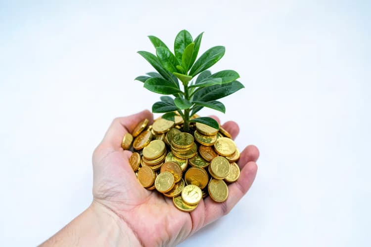 Uma mão segurando uma pequena planta crescendo de um monte de moedas de ouro.