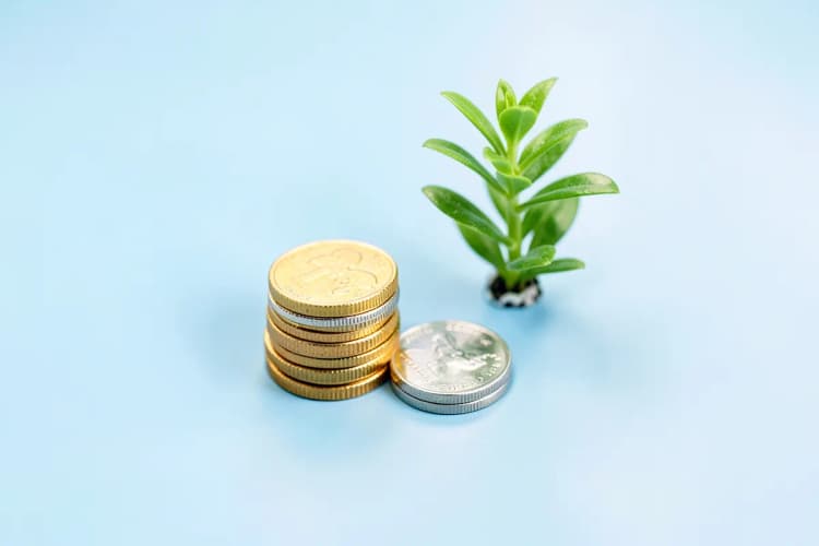 Gráfico de barras ascendente com moedas douradas e prateadas empilhadas ao lado de uma planta verde crescendo, em um fundo branco claro.