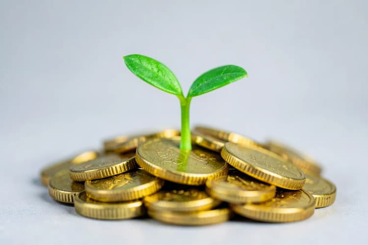 Uma pequena planta crescendo de um monte de moedas de ouro, representando investimento mínimo.